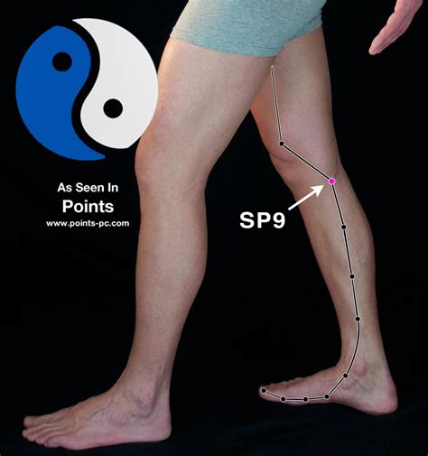 acupuncture point Lv 9